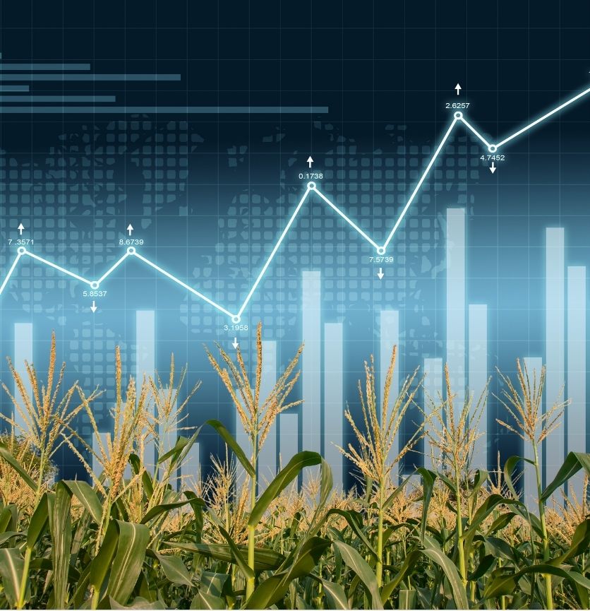 Food Security & Livelihoods